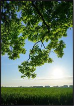 Poster van een bos en groen tarweveld - 50x70 cm