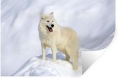 Stickers Stickers muraux - Loup - Neige - Hiver - 120x80 cm - Feuille adhésive