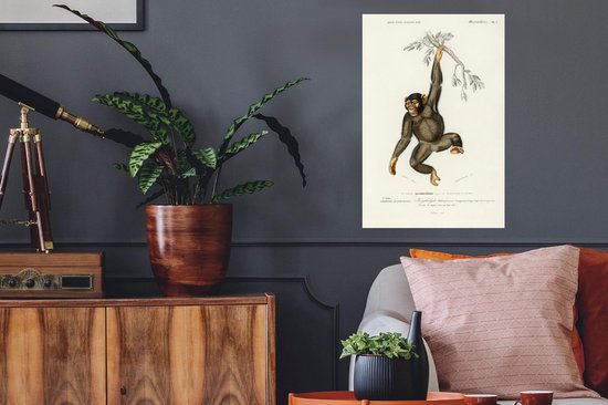 Stickers muraux - Singe - Vintage - Branche - 40x60 cm - Film Adhésif