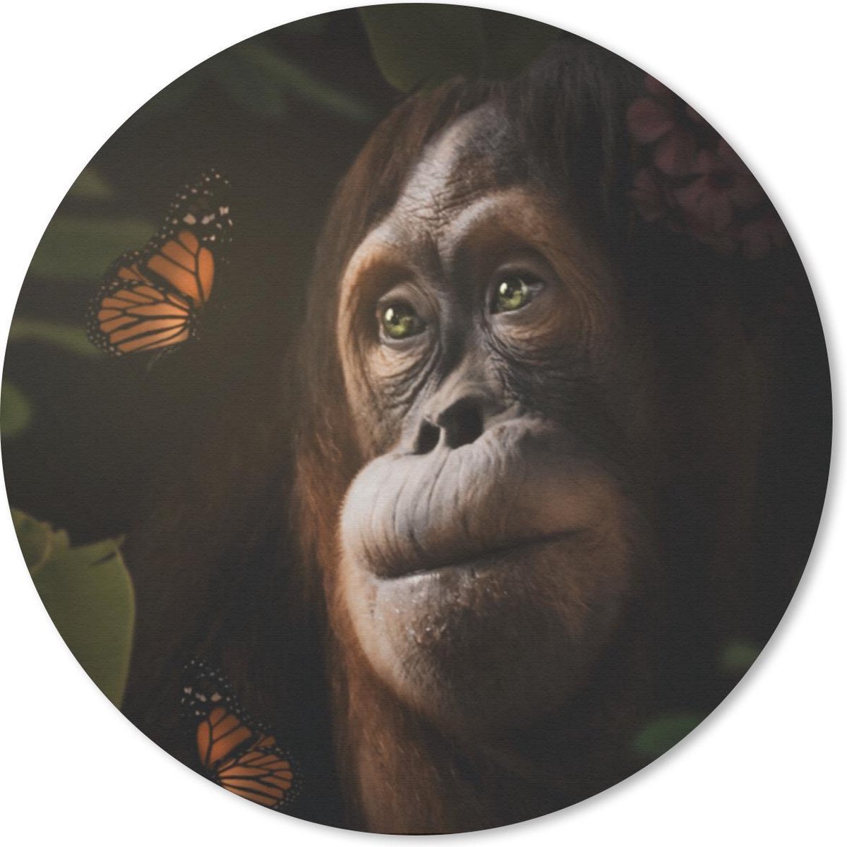 Muismat rond 50x50 cm - Mousepad Vlinder - Aap - Jungle - Ronde muismatten