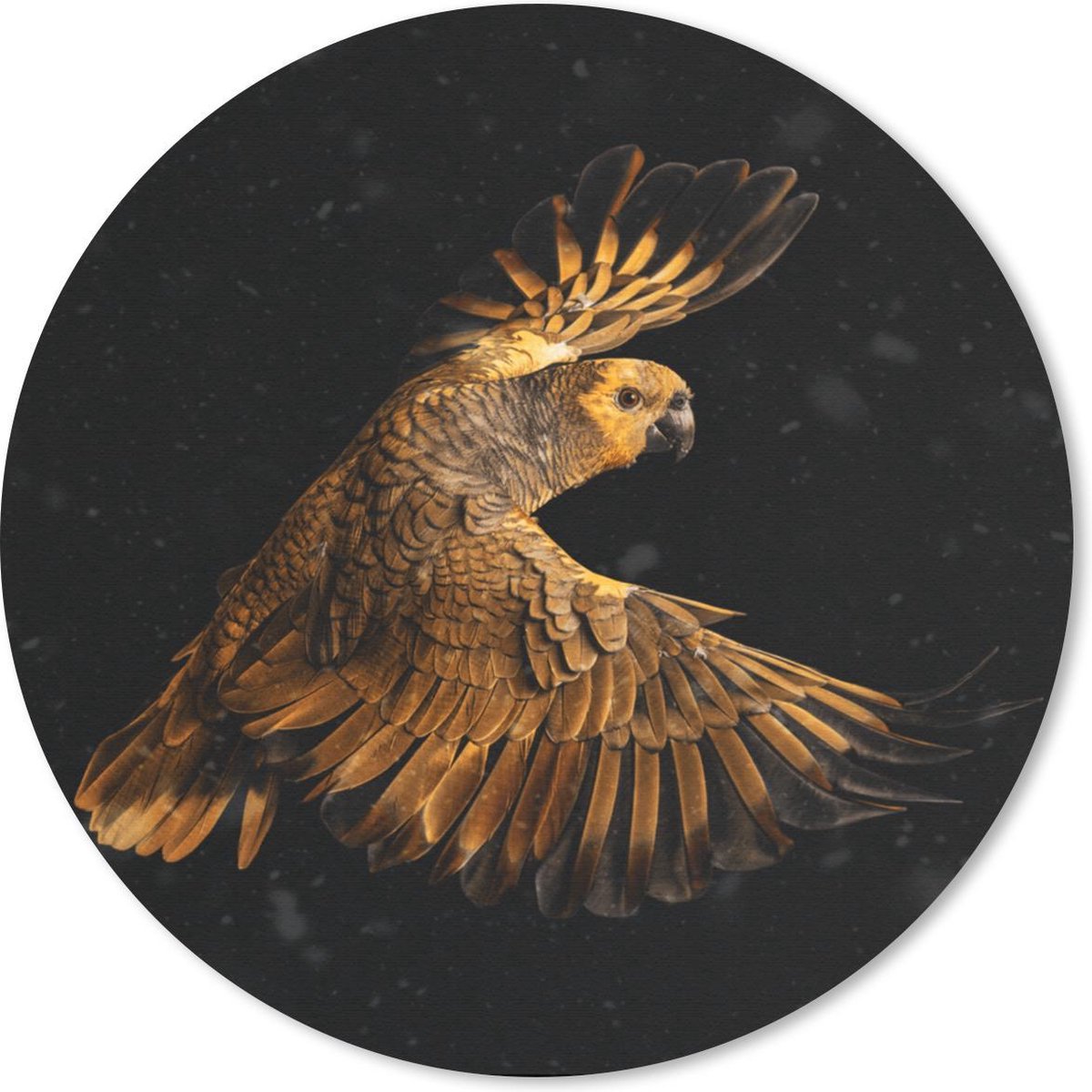 Muismat rond 50x50 cm - Mousepad Papegaai - Goud - Vliegen - Ronde muismatten