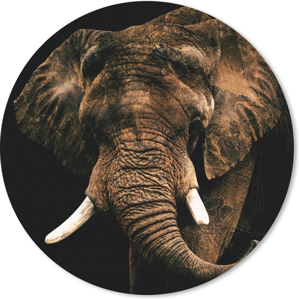 Muismat rond 40x40 cm - Mousepad Olifant - Bruin - Tanden - Ronde muismatten