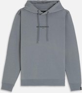 Silvercreek  Logo Hoodie  Mannen Grey Steel