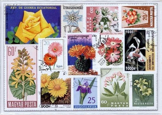 Thumbnail van een extra afbeelding van het spel Bloemen – Luxe postzegel pakket (A6 formaat) : collectie van 25 verschillende postzegels van bloemen – kan als ansichtkaart in een A6 envelop - authentiek cadeau - kado - geschenk - kaart - boterbloem - distel - klaproos - zonnebloem - tulp - viool