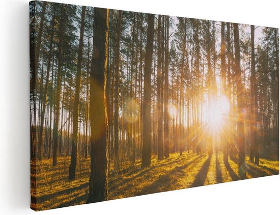 Artaza Canvas Schilderij Zonsopkomst In Het Bos Tussen De Bomen - 60x30 - Foto Op Canvas - Canvas Print