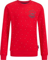 WE Fashion Jongens sweater met dessin