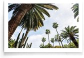 Walljar - Palmbomen Onderaanzicht - Muurdecoratie - Poster