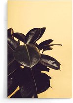 Walljar - Rubber Plant Yellow II - Muurdecoratie - Poster