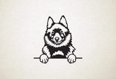 Schipperke - hond met pootjes - S - 46x45cm - Zwart - wanddecoratie