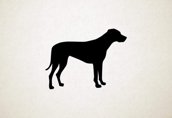 Rhodesian Ridgeback - Silhouette hond - L - 75x100cm - Zwart - wanddecoratie