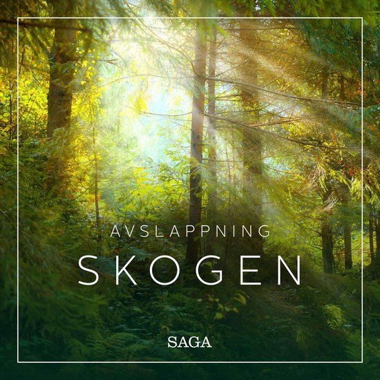 Avslappning - Skogen - cover