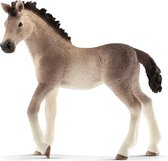 Schleich Andalusisch Veulen