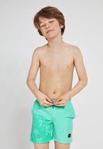 Shiwi Swimshort magic palmtree - mint groen - 164