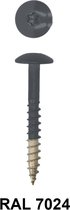 Ivana HPL-plaatschroeven trespa© RVS A2 met TORX TX-20 bit bolkop 12 x 38 mm 100 stuks