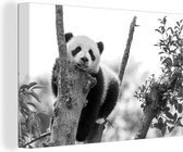 Canvas Schilderij Panda leunt op een boom - zwart wit - 60x40 cm - Wanddecoratie