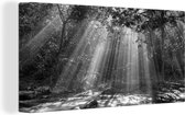 Canvas Schilderij Zonnestralen door bladerdek - zwart wit - 80x40 cm - Wanddecoratie