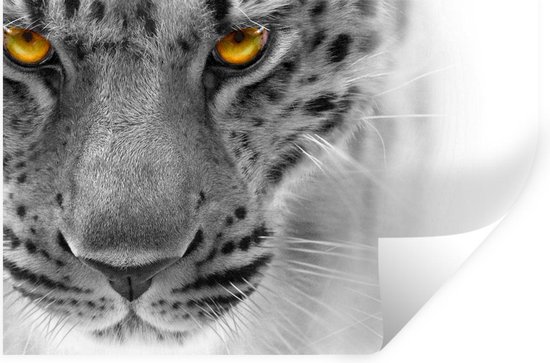 Stickers muraux - Léopard - Yeux - Jaune - 30x20 cm - Feuille adhésive