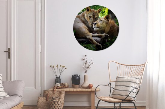Wallpaper Circle - Lion - Câlin - Forêt - 100x100 cm - Wall Circle - Auto-adhésif - Papier Peint Rond Autocollant XXL