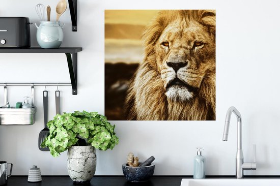 Affiche Lions - Profil - Coucher de soleil - 50x50 cm