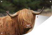 Muurdecoratie Schotse hooglander - Bruin - Macro - 180x120 cm - Tuinposter - Tuindoek - Buitenposter
