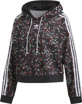 adidas Originals Hoodie Dames Sweatshirt zwart