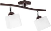 Elegante 2 punts plafondlamp
