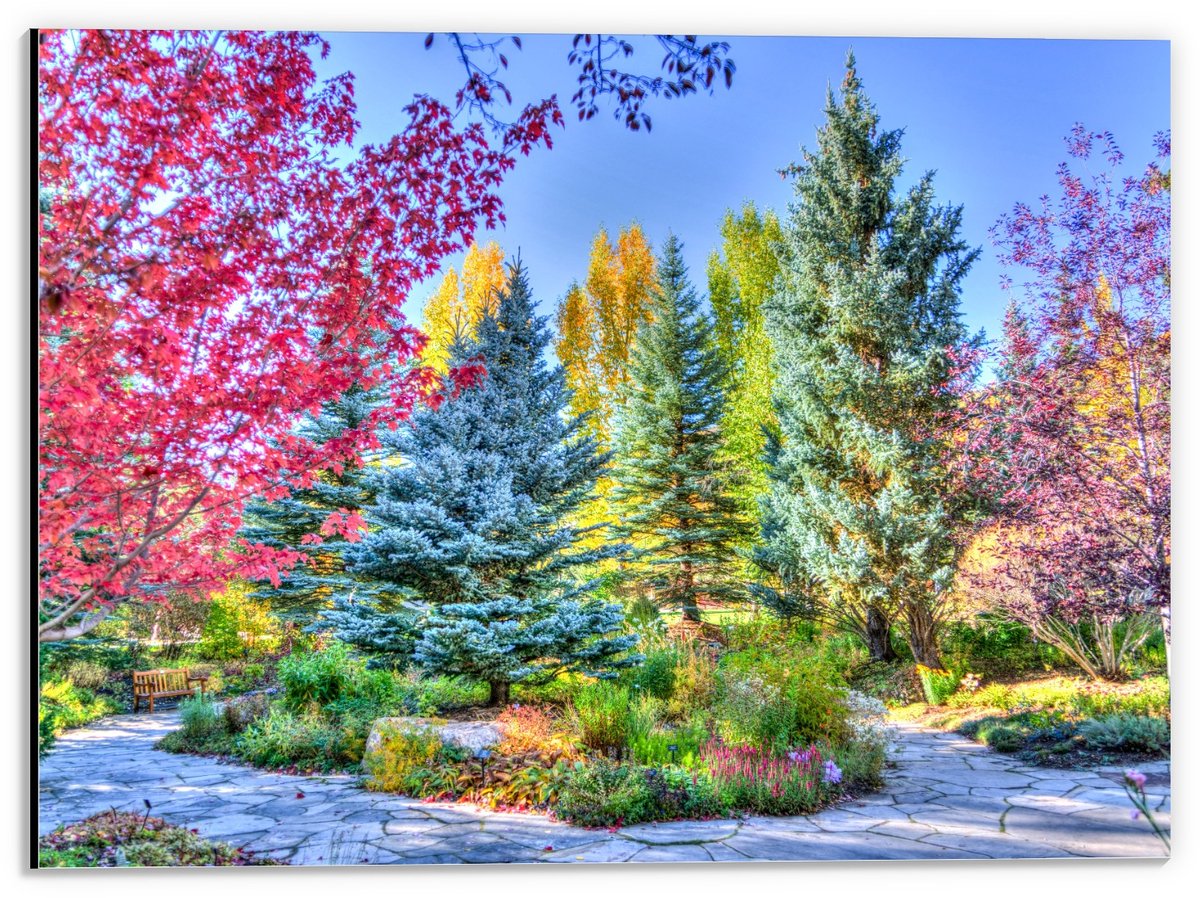 KuijsFotoprint Dibond - Gekleurde Bomen bij Elkaar - 40x30cm Foto op Aluminium (Met Ophangsysteem) Rood