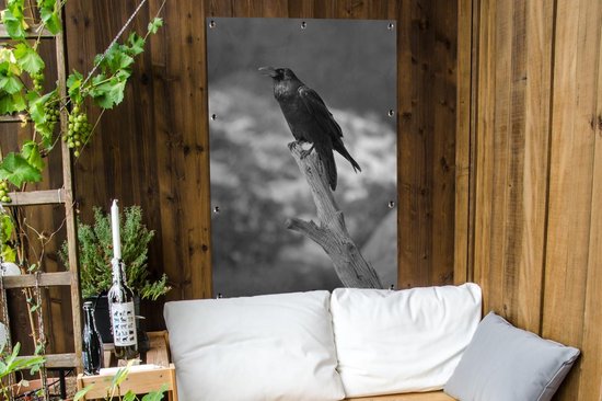 Affiche jardin - Toile Posters de jardin extérieur - Un corbeau noir sur une branche cassée - noir et blanc - 80x120 cm - Jardin
