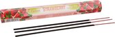 Parfum Sticks DKD Home Decor Aardbei (20 pcs)