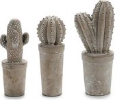 Cactus Steen Cement (11 x 28 x 11 cm)