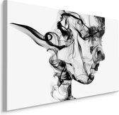Schilderij - abstracte vrouw uit rook, zwart/wit, 4 maten, wanddecoratie