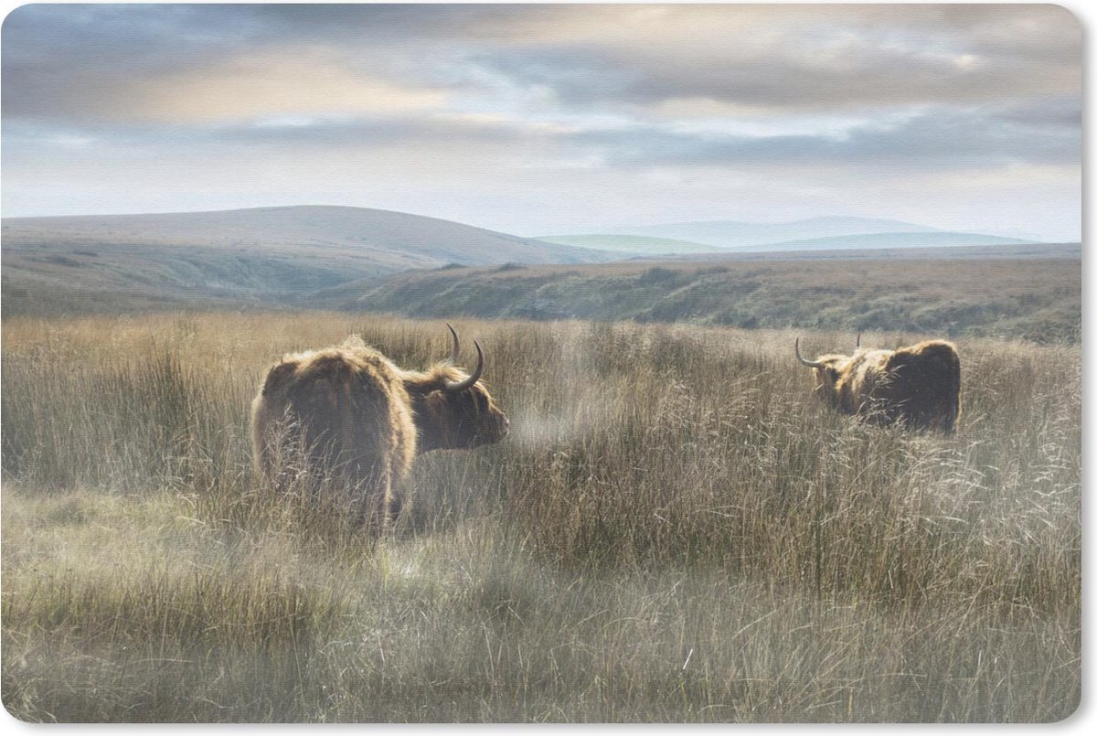 Bureau mat - Schotse Hooglanders - Mist - Gras - 60x40