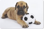 Bureau onderlegger - Muismat - Bureau mat - Een bruine puppy met een voetbal - 60x40 cm