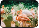 Laptophoes 14 inch - Flamingo's staan in het water - Laptop sleeve - Binnenmaat 34x23,5 cm - Zwarte achterkant