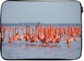 Laptophoes 14 inch - Grote groep flamingo's in het water - Laptop sleeve - Binnenmaat 34x23,5 cm