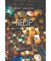 Necip