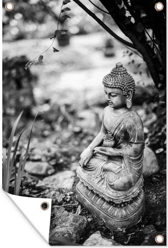 Boeddha - Natuur - Zwart - Wit