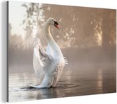 Swan in misty lake Aluminium 90x60 cm - Tirage photo sur aluminium (décoration murale métal)