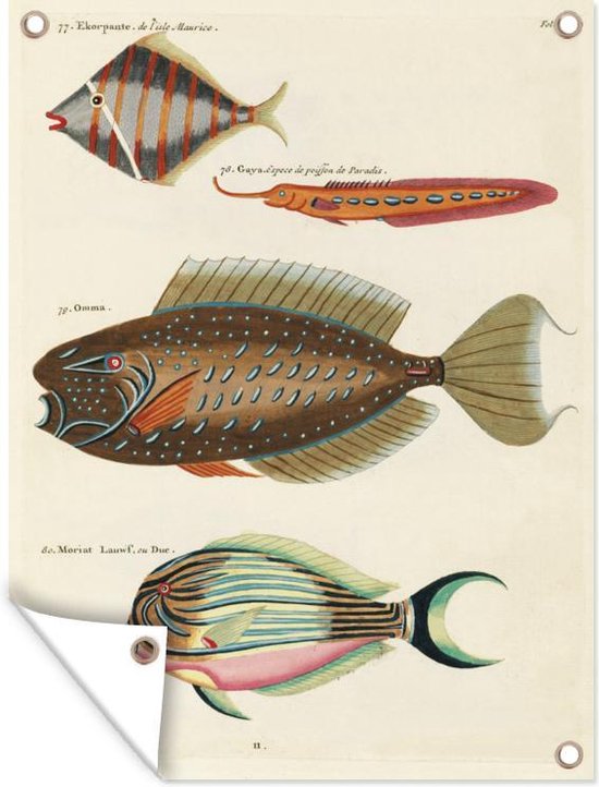 Décoration murale' extérieur Vintage - Animal - Poisson - 120x160 cm
