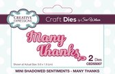 Creative Expressions Stans - 'Many Thanks' - 9,6cm x 2cm - Set van 2