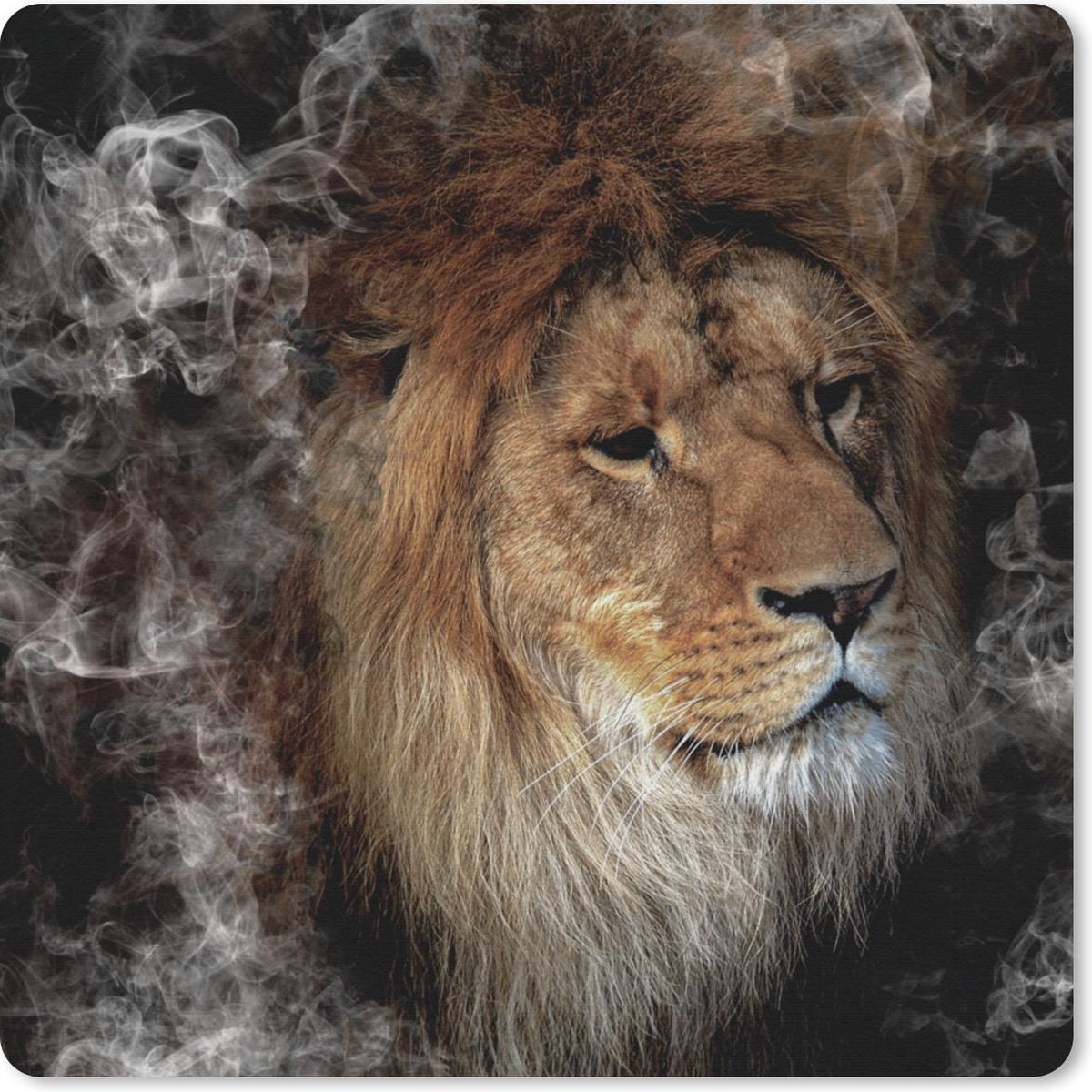 Muismat 20x20 cm - Mousepad Leeuw - Rook - Dieren - Muismatten