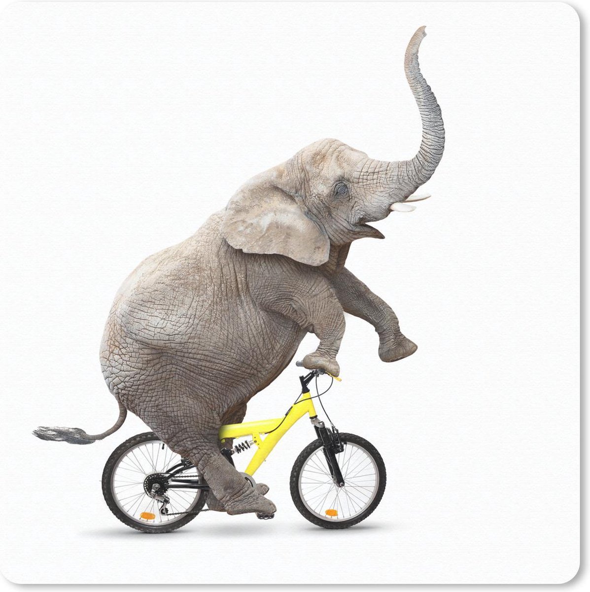 Muismat 30x30 cm - Mousepad Olifant - Fiets - Wit - Muismatten
