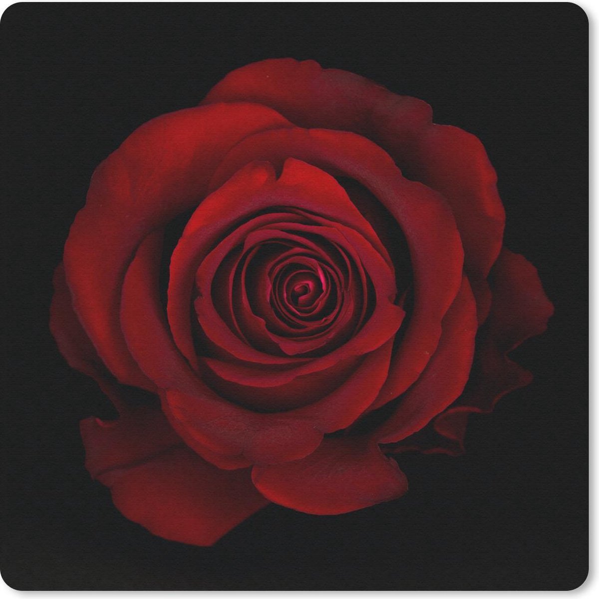 Muismat 20x20 cm - Mousepad Roos - Rood - Zwart - Muismatten