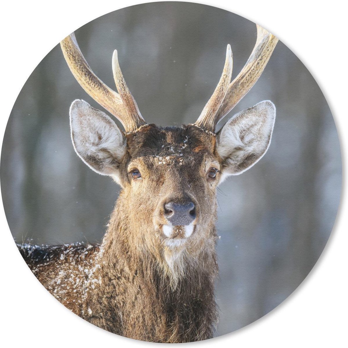 Muismat rond 30x30 cm - Mousepad Hert - Wit - Bruin - Ronde muismatten