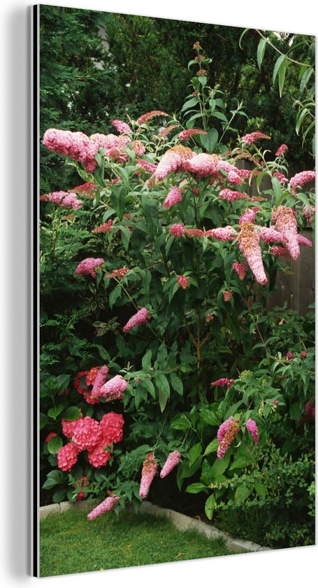Wanddecoratie Metaal - Aluminium Schilderij Industrieel - Roze vlinderstruik in een tuin - 20x30 cm - Dibond - Foto op aluminium - Industriële muurdecoratie - Voor de woonkamer/slaapkamer