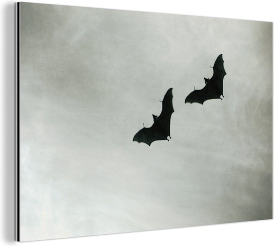 Wanddecoratie Metaal - Aluminium Schilderij Industrieel - Twee vleermuizen in vlucht - 120x80 cm - Dibond - Foto op aluminium - Industriële muurdecoratie - Voor de woonkamer/slaapkamer