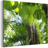 Tropical rainforest Aluminium 60x40 cm - Tirage photo sur aluminium (décoration murale en métal)