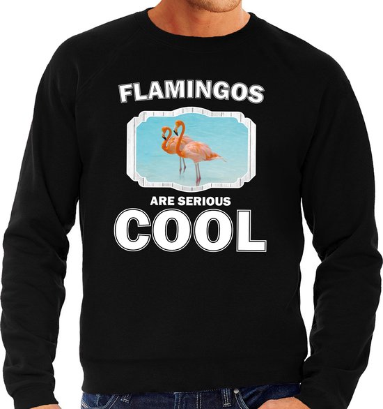Dieren flamingo vogels sweater zwart heren - flamingos are serious cool trui - cadeau sweater flamingo/ flamingo vogels liefhebber L