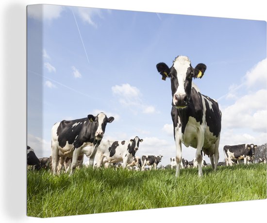 Peinture sur toile vache - Vache - Animaux - Nature - Zwart& blanc - Fleurs - 30x20 cm - Toile - Décoration d'intérieur