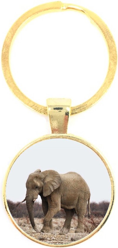 Sleutelhanger Glas - Olifant